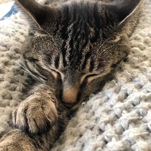 Meet your Posher, Fiona